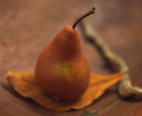 A Pear